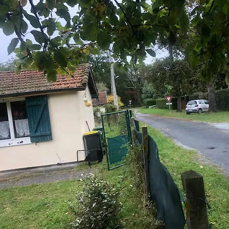 Petite Maison Rustique Et Atypique Tatil Evi Hourtin