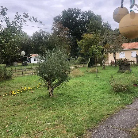 Petite Maison Rustique Et Atypique Holiday home Hourtin