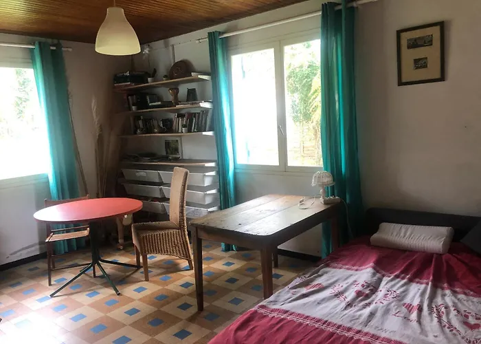 Semesterbostad Petite Maison Rustique Et Atypique Hourtin